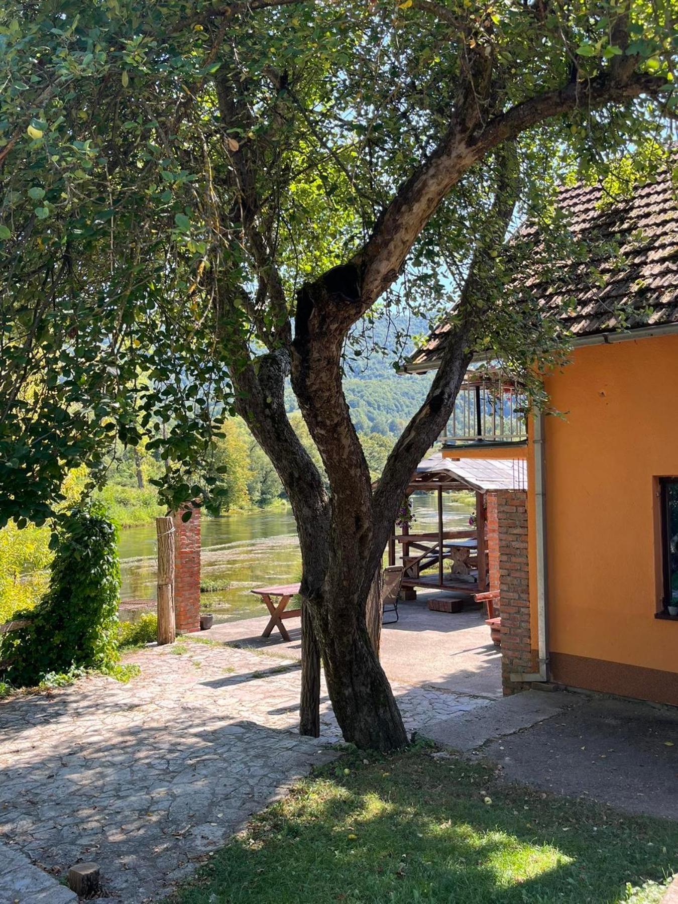 Bed And Breakfast Family Djukic Sipovo ภายนอก รูปภาพ