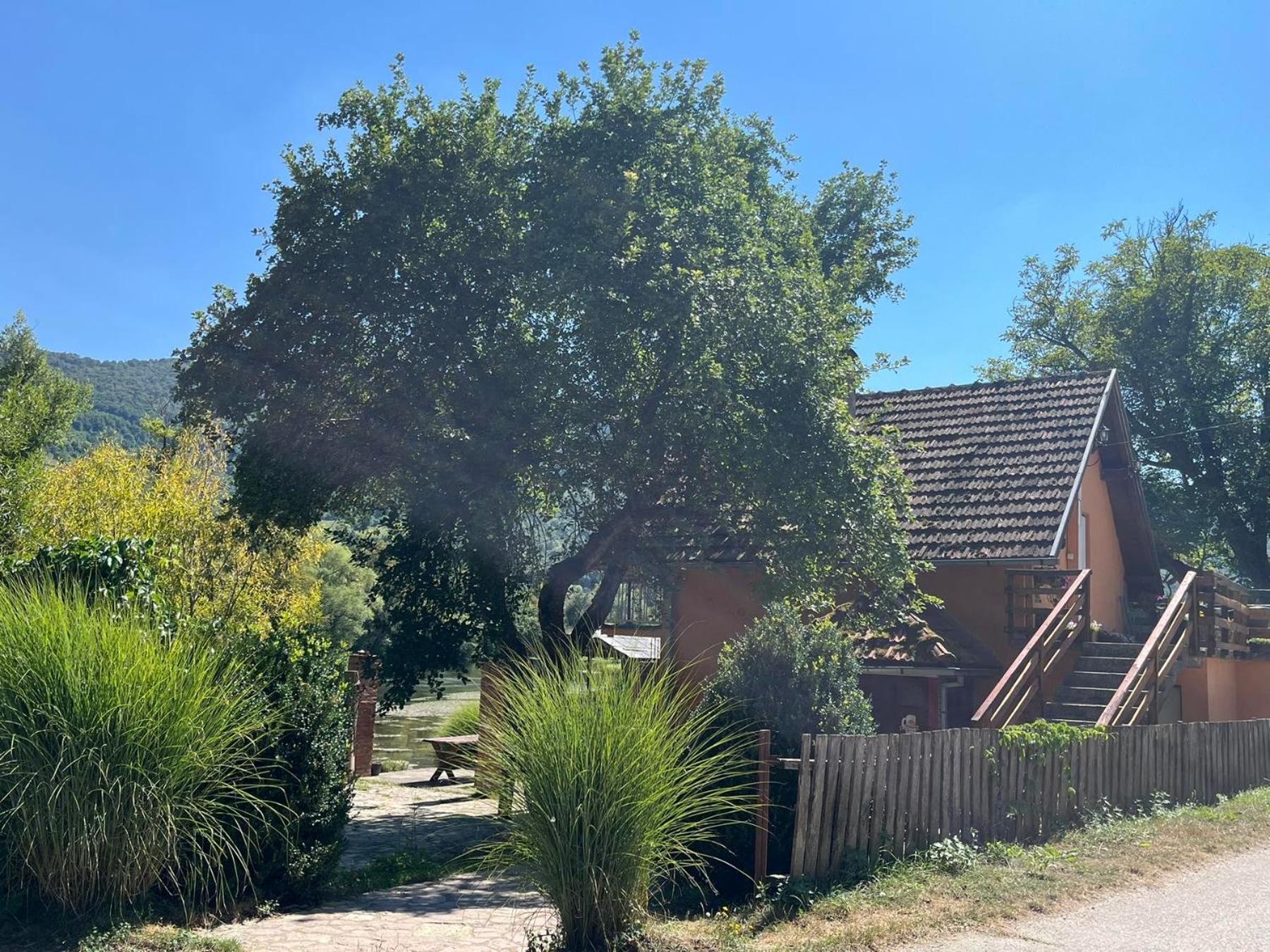Bed And Breakfast Family Djukic Sipovo ภายนอก รูปภาพ